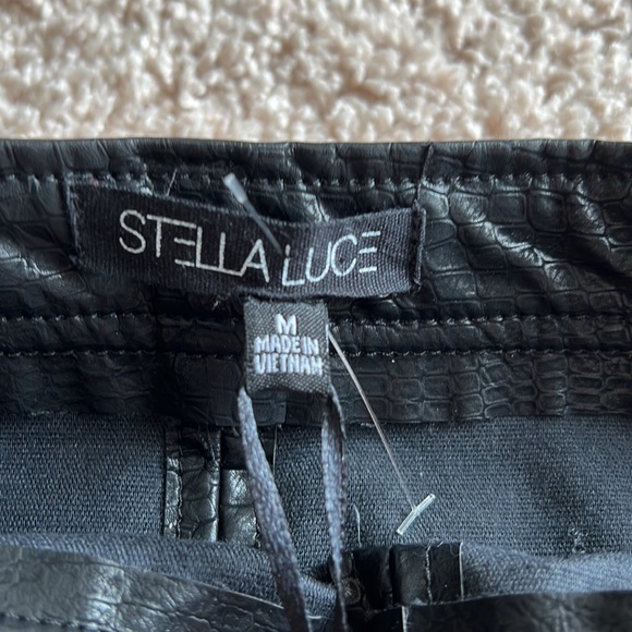 Medium black leather skirt from Nordstrom rack / Stella Luce brand - Picture 4 of 8